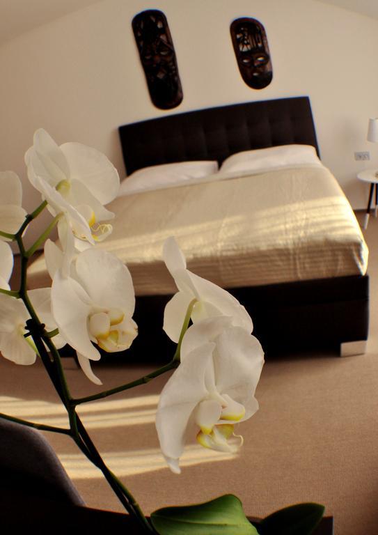 Studia Letcu 2A Apartment Olomouc Bagian luar foto